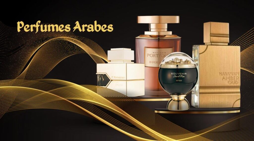 loja perfume do dia